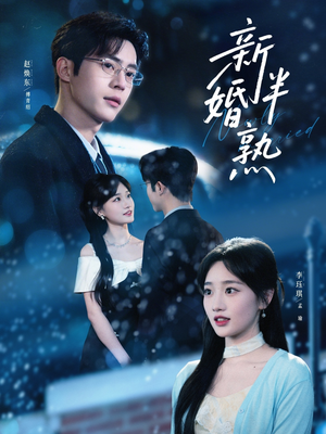 新婚半熟(68集) 新婚半熟(68集)全集在线看