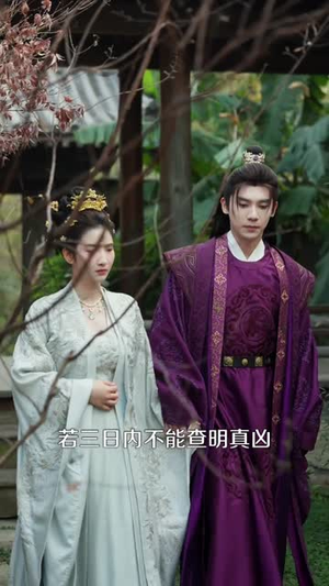 鸣鹤5:幽兰录(63集) 鸣鹤5:幽兰录(63集)在哪个app能看