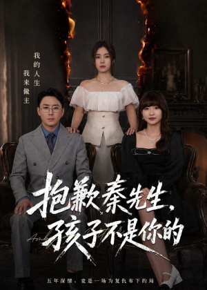 抱歉秦先生，孩子不是你的（53集）热门短剧推广