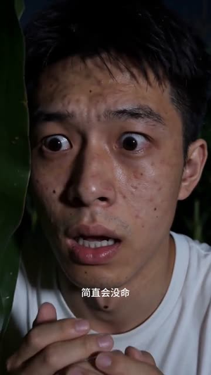 玉米地里的秘密（30集）短剧完整版免费