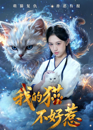 我的猫不好惹（42集）免费观看全集