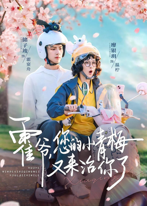 霍爷，您的小青梅又来治你了（90集）一共多少集