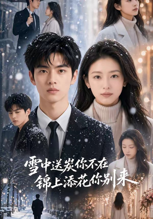 雪中送炭你不在，锦上添花你别来（60集）在线看免费版