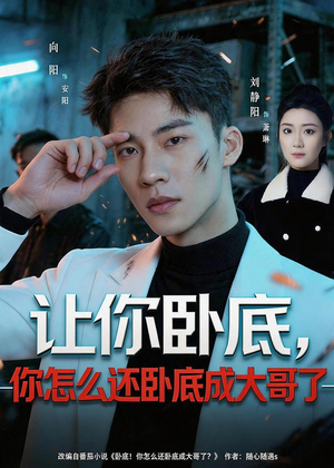 让你卧底，你怎么还卧成大哥了（80集）高分佳作免费看