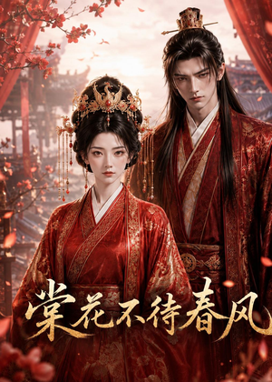 棠花不待春风（31集）短剧小说在线看