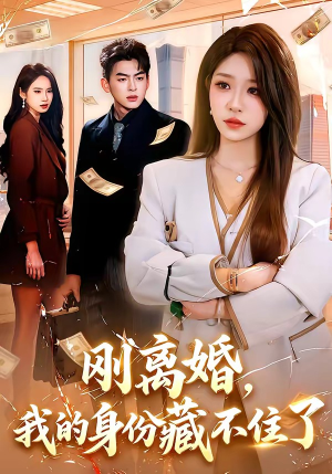刚离婚，我的身份藏不住了（100集）热门短剧免费看