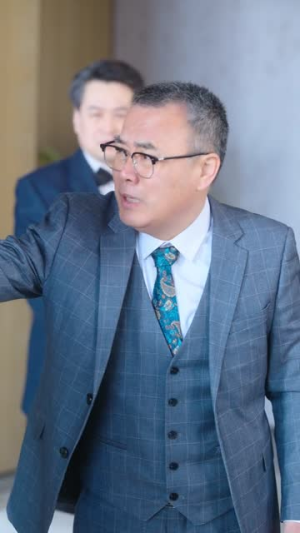 卧底，我本色出演就行（66集）免费看全集