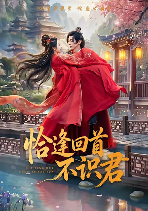 恰逢回首不识君（72集）精彩连连免费看