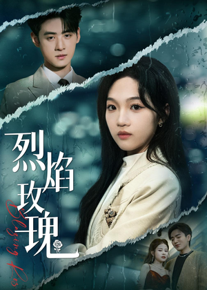 烈焰玫瑰（37集）经典老剧免费看