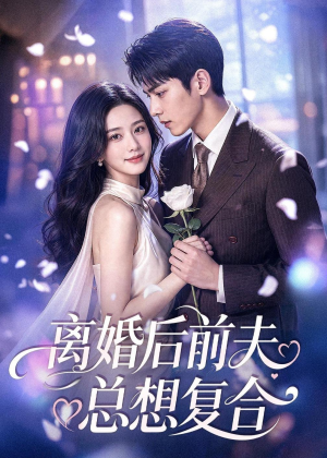 离婚后前夫总想复合（72集）免费观看