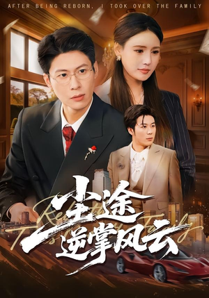 尘途逆掌风云(52集) 尘途逆掌风云(52集)免费短剧看全集