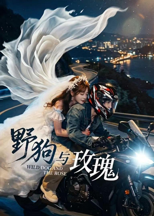 野狗与玫瑰（30集）真的好看吗