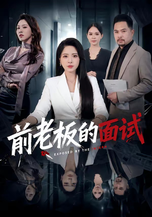前老板的面试（45集）全季一次看完