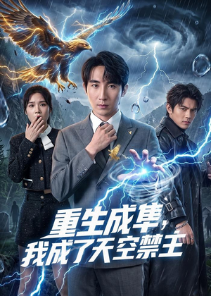 重生成隼，我成了天空禁主（68集）热门短剧抢先