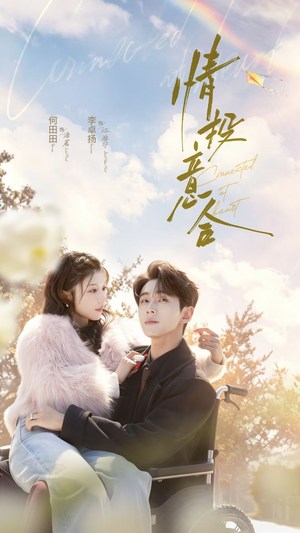 情投意合（60集）热播短剧全集看