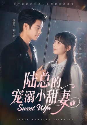 陆总的宠溺小甜妻(61集) 陆总的宠溺小甜妻(61集)百度网盘在线看