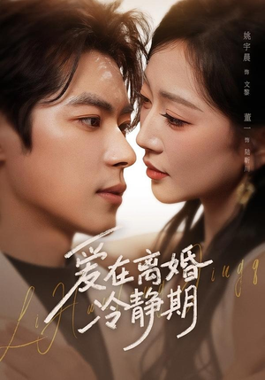 爱在离婚冷静期（73集）在线看免费版