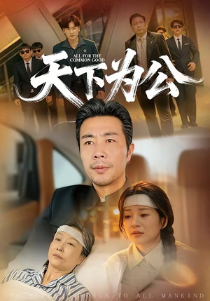 天下为公（58集）热播短剧排行榜