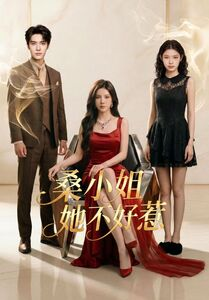 桑小姐她不好惹(103集) 桑小姐她不好惹(103集)免费看全集