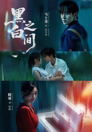 黑白之间（51集）在线免费观看
