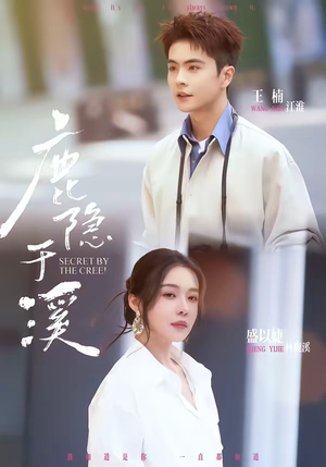鹿隐于溪（63集）热播短剧抢先看