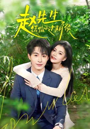 赵先生结婚证过期不候（50集）精彩短剧天天看