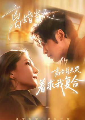 离婚当天，高冷前夫哭着求我复合（77集）短剧在线观看