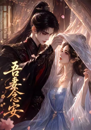 吾妻念安（24集）经典老剧免费看