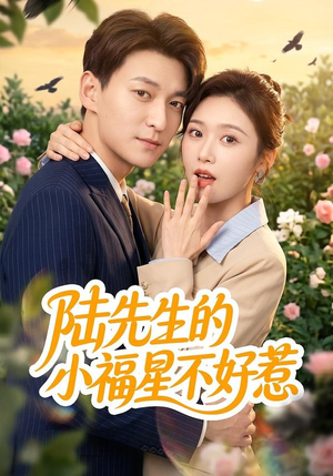 陆先生的小福星不好惹（56集）免费版