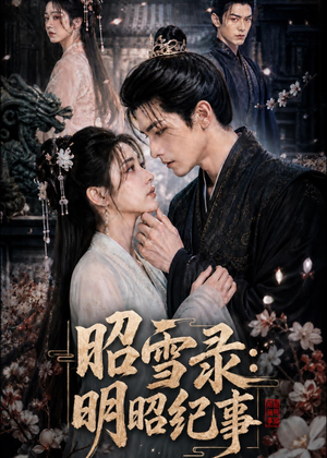 昭雪录：明昭纪事（20集）短剧有好货推荐