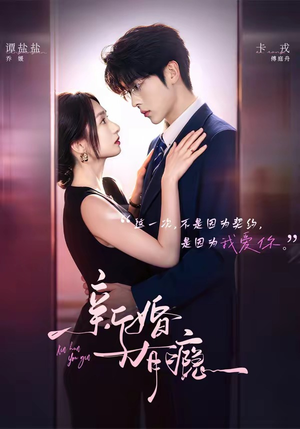 新婚有瘾（83集）熬夜追短剧