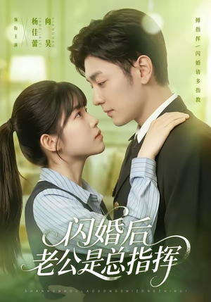闪婚后老公是总指挥（82集）看到了大结局