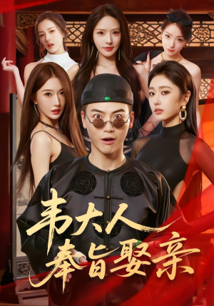 韦大人奉旨娶亲（81集）免费短剧合集