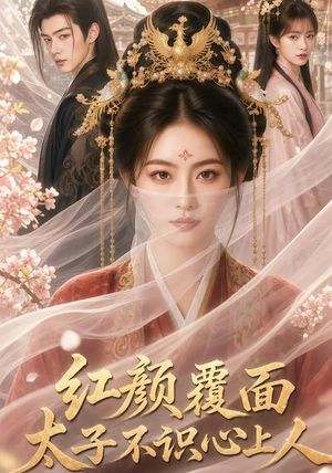 红颜覆面，太子不识心上人（50集）1-102集