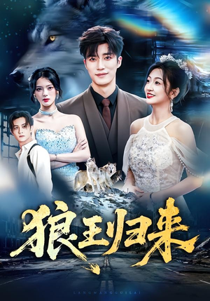 狼王归来(51集) 狼王归来(51集)在哪看