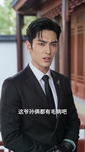 我绝顶杀手旷世神医，下山即无敌（89集）一起追短剧