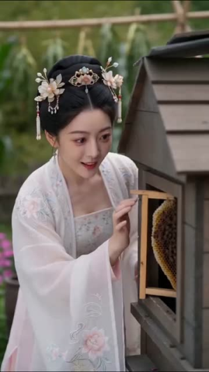 王妃休夫记(41集) 王妃休夫记(41集)爆火短剧追不停