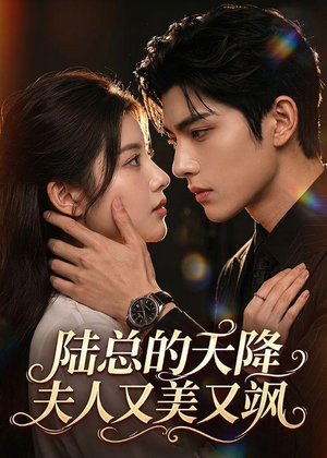 陆总的天降夫人又美又飒（80集）热播短剧免费看