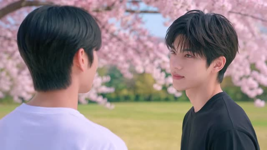 B奔向你（9集）无需会员免费看
