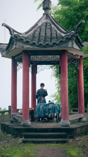 万武归宗定家邦（49集）抢先看热门短剧