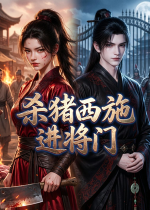 杀猪西施进将门（60集）在线看完整版