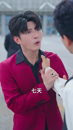 我真不是世外高人(75集) 我真不是世外高人(75集)超好看古装短剧
