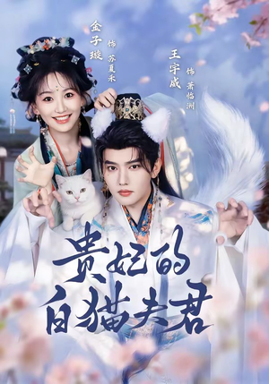 贵妃的白猫夫君(81集) 贵妃的白猫夫君(81集)网盘在线观看