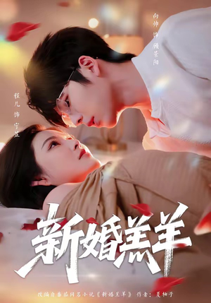 新婚羔羊（89集）无需会员免费看
