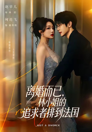 离婚而已,林小姐的追求者排到法国(79集) 离婚而已,林小姐的追求者排到法国(79集)解说