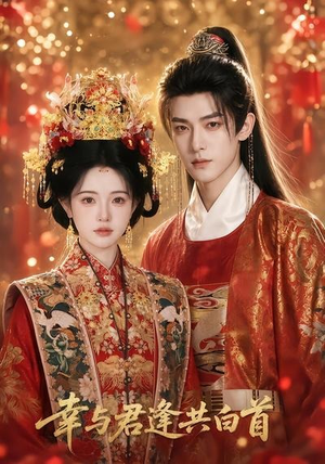 幸与君逢共白首(79集) 幸与君逢共白首(79集)全集免费看短剧