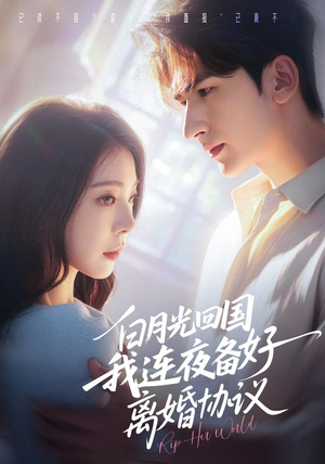 白月光回国我连夜备好离婚协议（80集）全部免费看全集