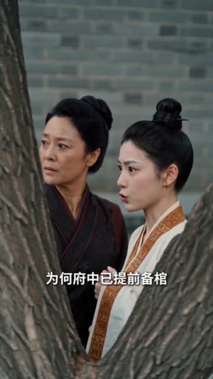我在冷宫搞副业，接单接到真皇帝（74集）百度网盘资源