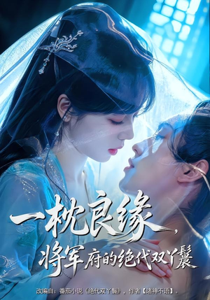 一枕良缘，将军府的绝代双丫鬟（77集）80到100集