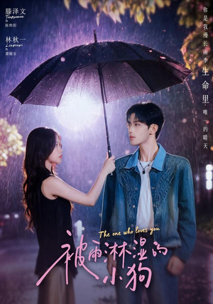 被雨淋湿的小狗（80集）全集在线看